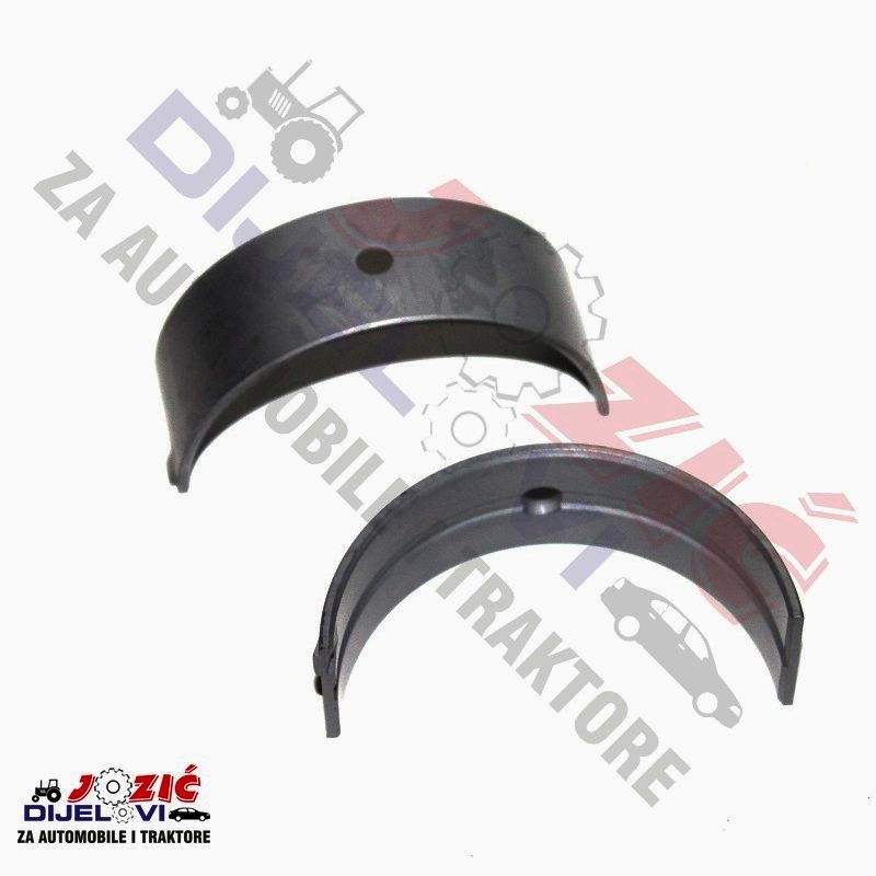 Daisy on the Ohoopee